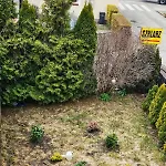 Dom Na Wynajem Ii Apartament